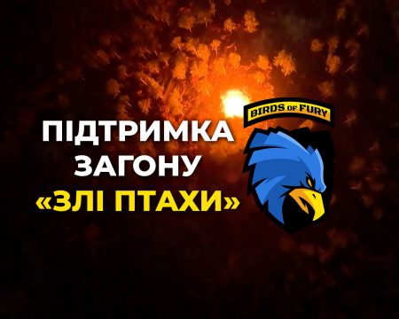 Підтримка Злих птахів