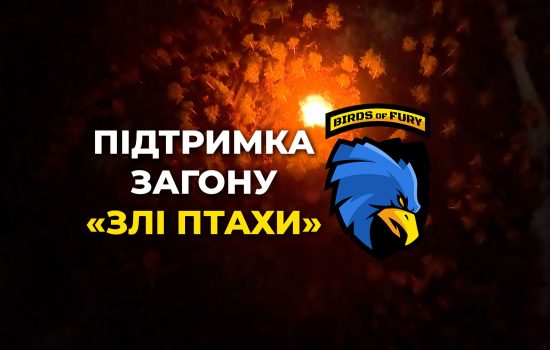 Підтримка Злих птахів
